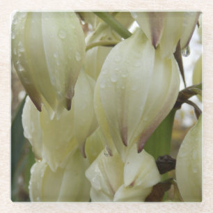 Dessous-de-verre En Verre Plante du Yucca