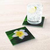 Dessous-de-verre En Verre Plumerias (Incliné)