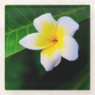 Dessous-de-verre En Verre Plumerias