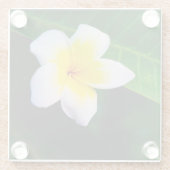 Dessous-de-verre En Verre Plumerias (Dos)