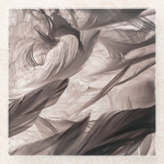 Dessous-de-verre En Verre Plumes (Devant)