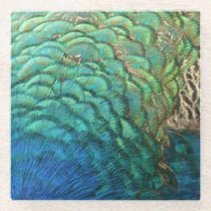 Dessous-de-verre En Verre Plumes de paon I Design de nature abstrait coloré