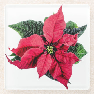 Dessous-de-verre En Verre Poinsettia