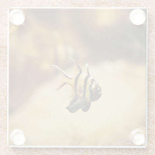 Dessous-de-verre En Verre Poisson-ange rayé solitaire (Dos)