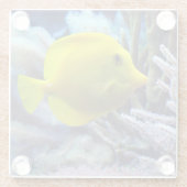 Dessous-de-verre En Verre Poisson de Tang Jaune (Dos)