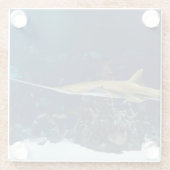 Dessous-de-verre En Verre Poisson-scie (Dos)