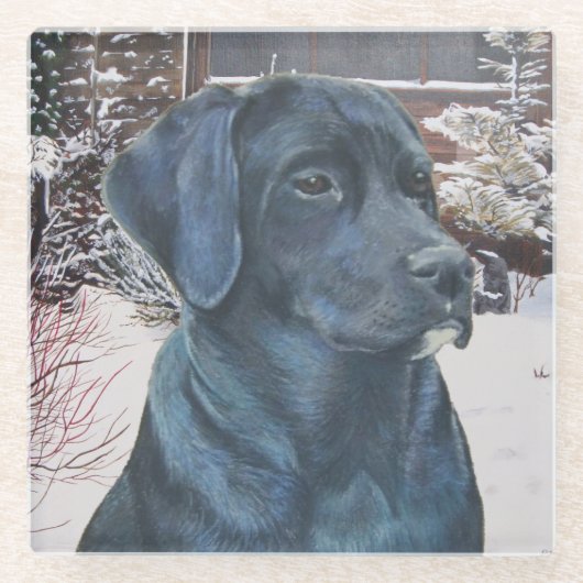Dessous-de-verre En Verre portrait de black labrador dog (Devant)