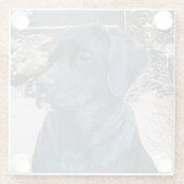 Dessous-de-verre En Verre portrait de black labrador dog (Dos)