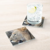Dessous-de-verre En Verre Portrait de Lion (Incliné)
