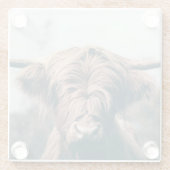 Dessous-de-verre En Verre Portrait de vache Highland (Dos)