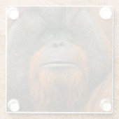 Dessous-de-verre En Verre Portrait of Orang-utang Male, Georgia, USA (Dos)