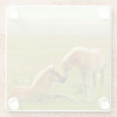 Dessous-de-verre En Verre Poulains de cheval (Dos)