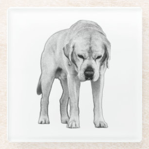 Dessous-de-verre En Verre Présence définie