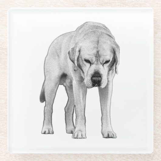 Dessous-de-verre En Verre Présence définie (Devant)