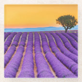 Dessous-de-verre En Verre Provence (Devant)