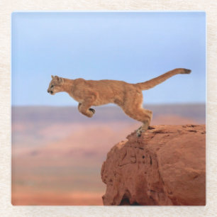 Dessous-de-verre En Verre Puma