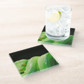 Dessous-de-verre En Verre python vert (Incliné)