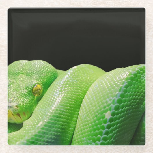 Dessous-de-verre En Verre python vert (Devant)