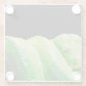 Dessous-de-verre En Verre python vert (Dos)