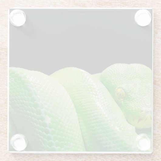 Dessous-de-verre En Verre python vert (Dos)