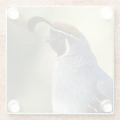 Dessous-de-verre En Verre Queue masculine (Dos)