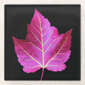 Dessous-de-verre En Verre Red Autumn Maple Leaf on Black Floral (Devant)
