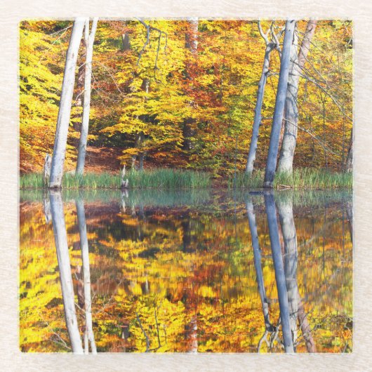 Dessous-de-verre En Verre Réflexion d'automne (Devant)