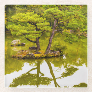 Dessous-de-verre En Verre Réflexions