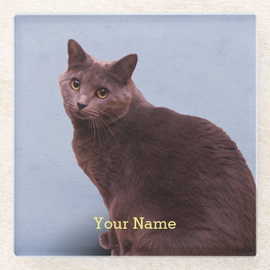 Dessous-de-verre En Verre Regard russe de chat bleu (Devant)