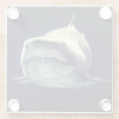 Dessous-de-verre En Verre Requin (Dos)