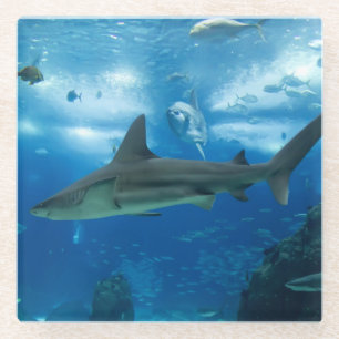 Dessous-de-verre En Verre Requins-Dessous de verre en verre