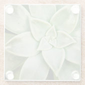 Dessous-de-verre En Verre Ressort Succulent (Dos)