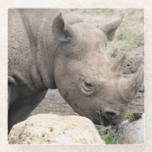 Dessous-de-verre En Verre rhino noir