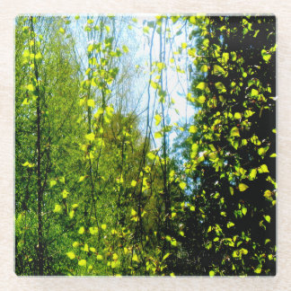 Dessous-de-verre En Verre Rideau d'été