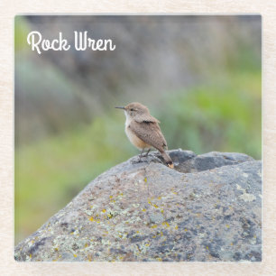 Dessous-de-verre En Verre Rock Wren