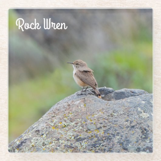 Dessous-de-verre En Verre Rock Wren (Devant)