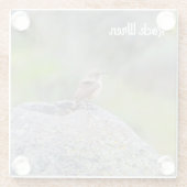 Dessous-de-verre En Verre Rock Wren (Dos)