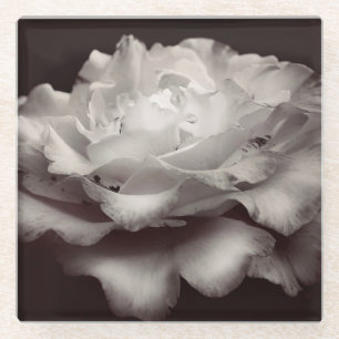 Dessous-de-verre En Verre Rose blanche