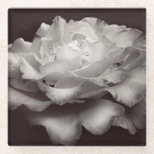 Dessous-de-verre En Verre Rose blanche (Devant)