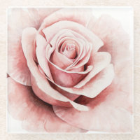 Rose rose rose
