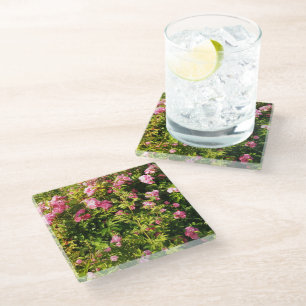 Dessous-de-verre En Verre Roses roses en fleurs