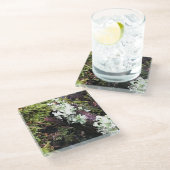 Dessous-de-verre En Verre Salamander Caché Sous Le Journal, Washington (Incliné)