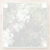 Dessous-de-verre En Verre Salamander Caché Sous Le Journal, Washington (Dos)