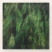 Sapin de Noël vert foncé saisonnier