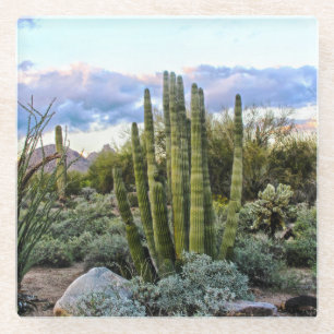 Dessous-de-verre En Verre Scottsdale Succulent Sunset
