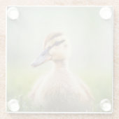 Dessous-de-verre En Verre Se pencher de Mallard de bébé (Dos)
