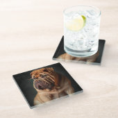 Dessous-de-verre En Verre Shar Pei Chien intelligent avec conception de livr (Incliné)