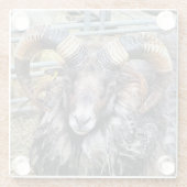 DESSOUS-DE-VERRE EN VERRE SHEEP (Dos)