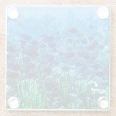 Dessous-de-verre En Verre Shoal of Blue Discus Fish (Dos)