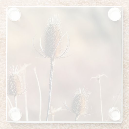Dessous-de-verre En Verre Simplement du chardon (Dos)